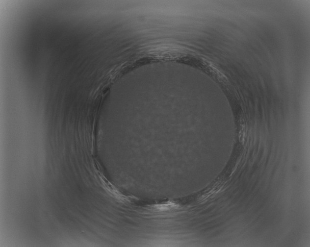 X0000074011108200608281358
