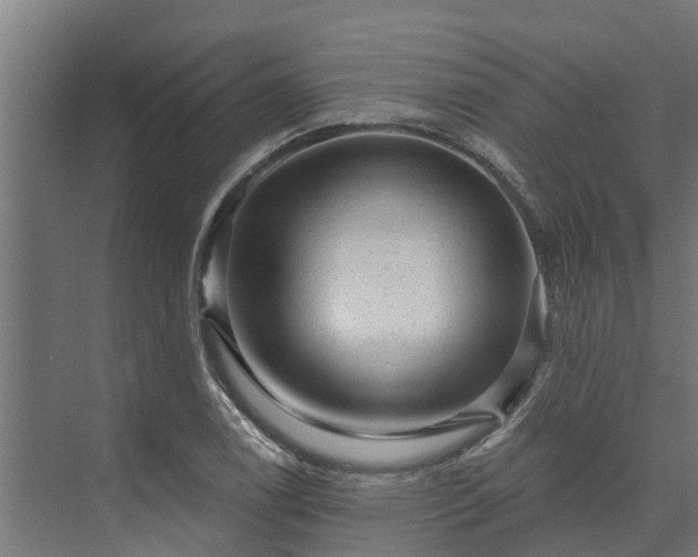 X0000074011122200608281358