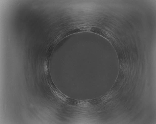 X0000074011154200608281358