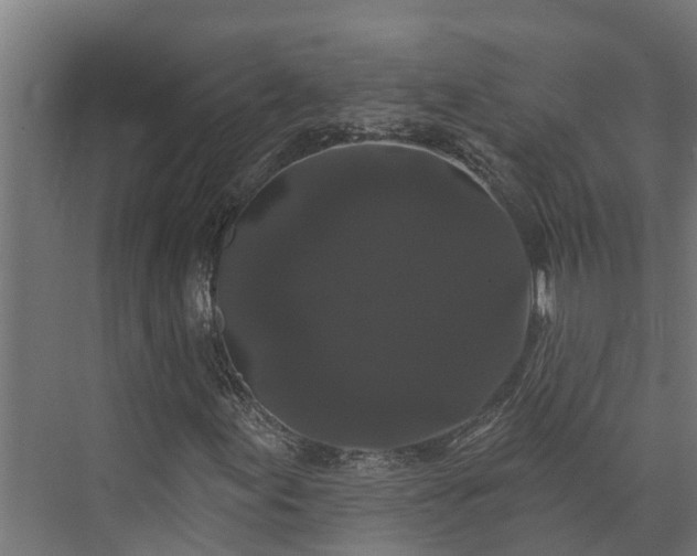 X0000074011155200608281358