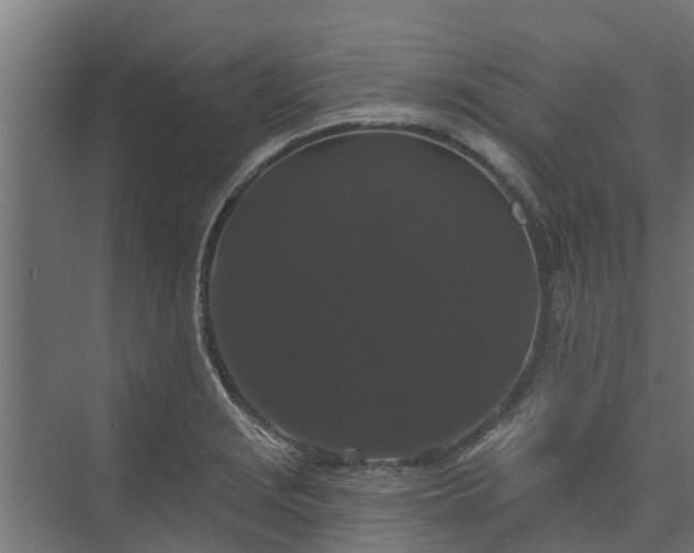X0000074011229200608281357