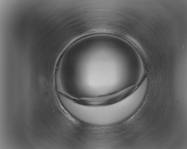 X0000074011236200608281357