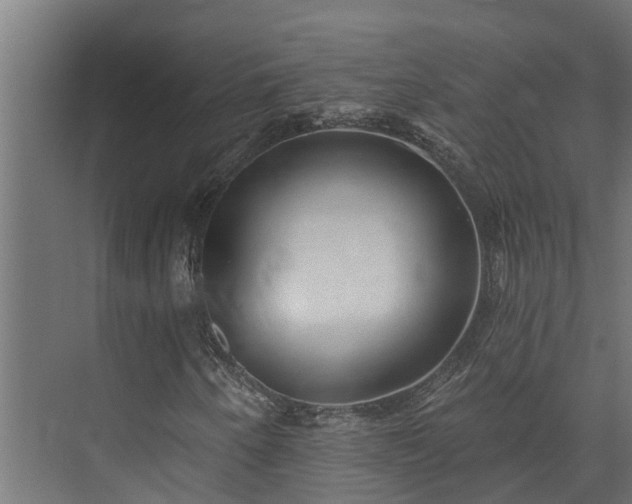 X0000074011250200608281357