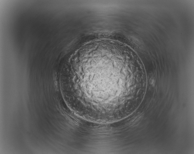 X0000074011252200608281356