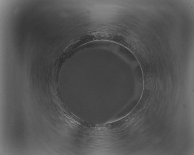 X0000074011297200608281355