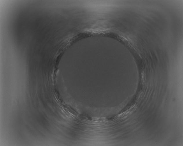 X0000074011300200608281355