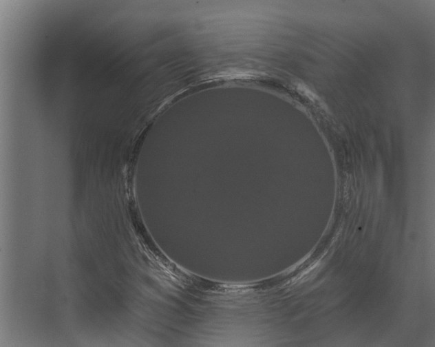 X0000074011353200608281355
