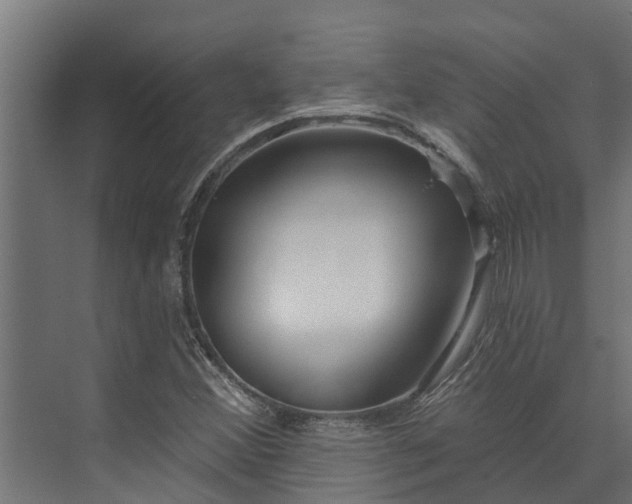 X0000074011356200608281355