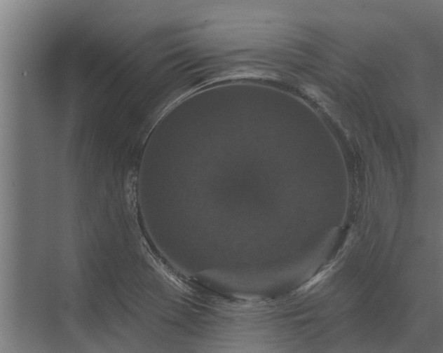 X0000074011369200608281355