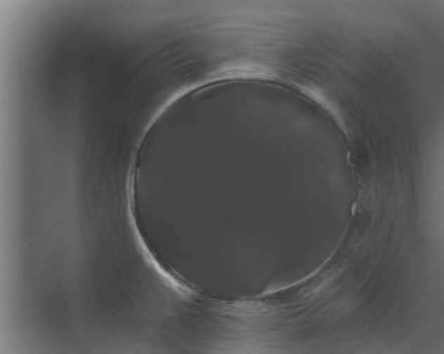 X0000074011383200608281354