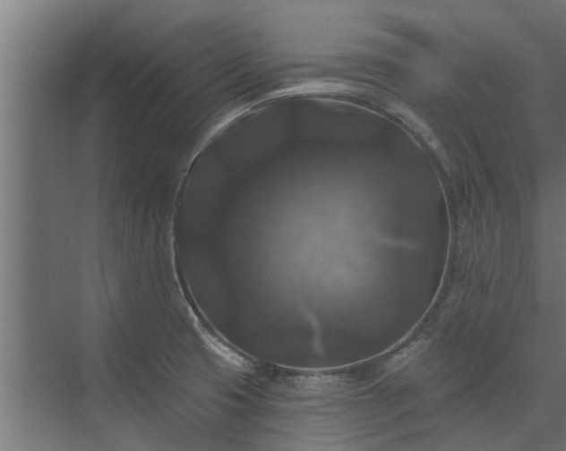 X0000074011425200608281354