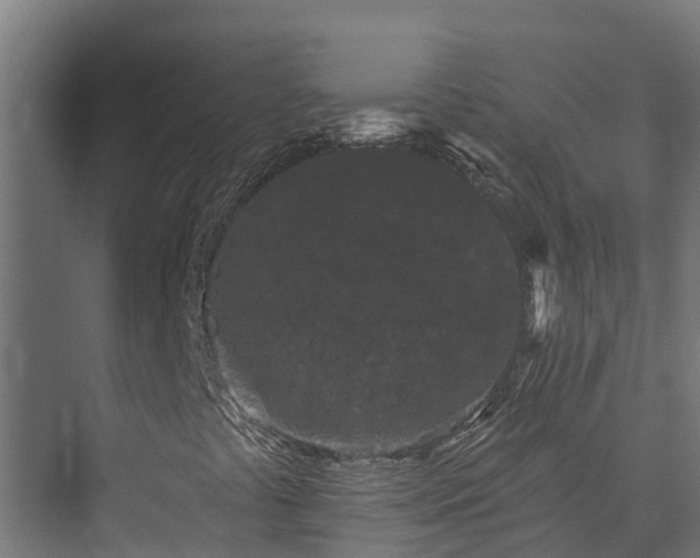 X0000074011441200608281353