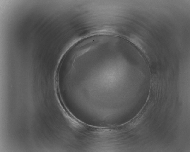 X0000074011474200608281353