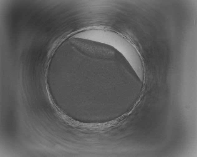 X0000074010001200609061101