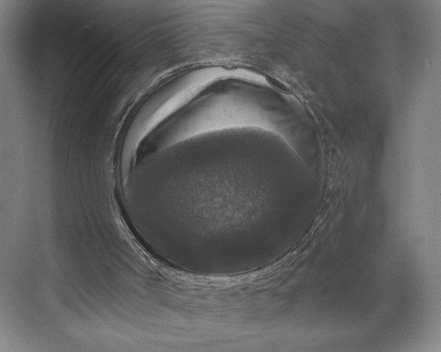 X0000074010002200609061101