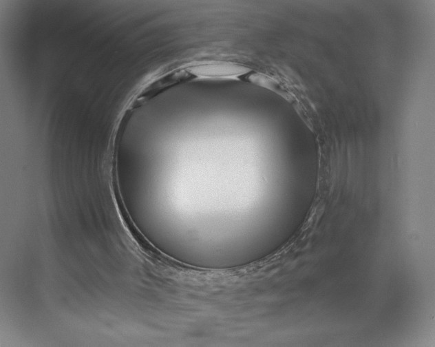 X0000074010003200609061101