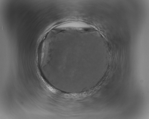 X0000074010005200609061101