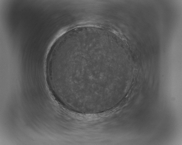 X0000074010006200609061101