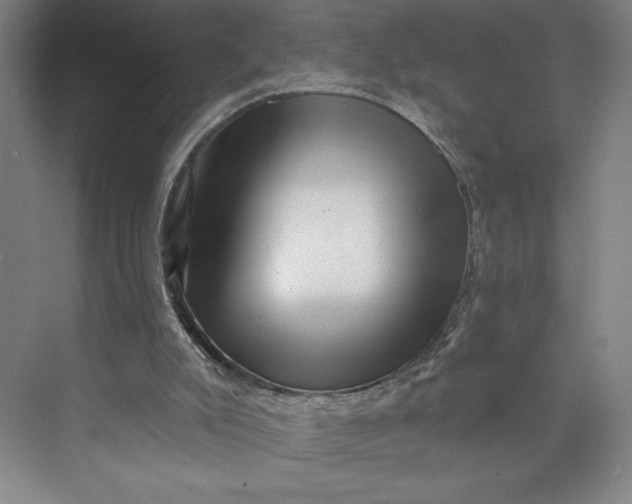 X0000074010007200609061101