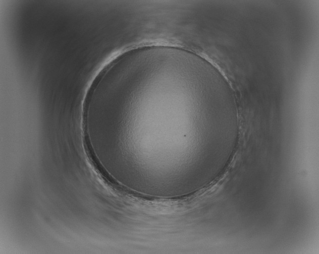 X0000074010008200609061101