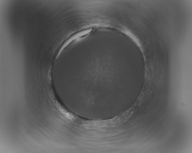 X0000074010009200609061101