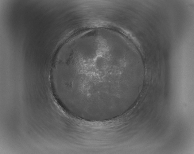 X0000074010010200609061101