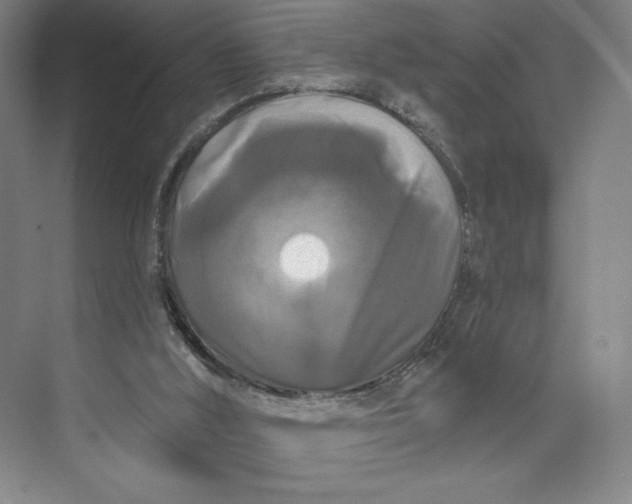 X0000074010012200609061101