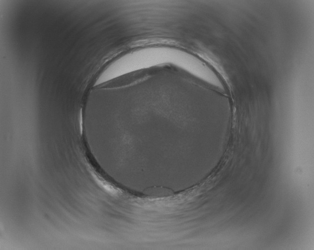 X0000074010013200609061101