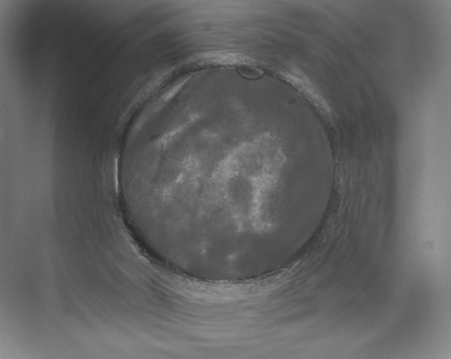 X0000074010014200609061101