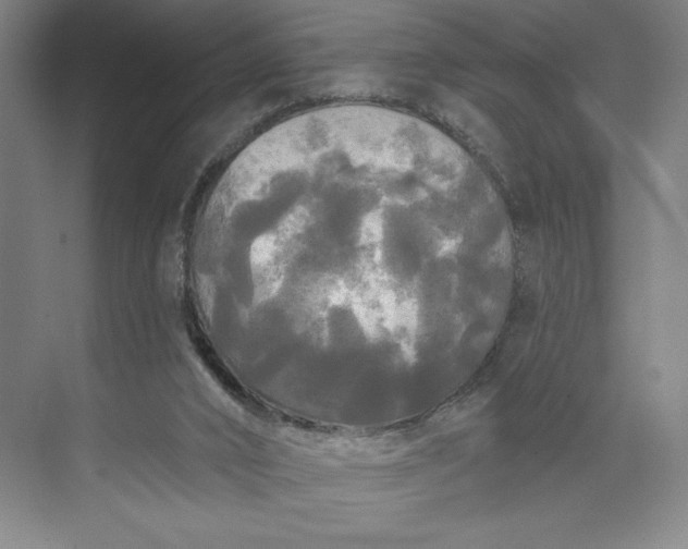 X0000074010016200609061101