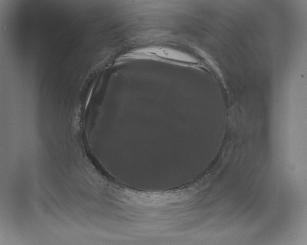 X0000074010018200609061101