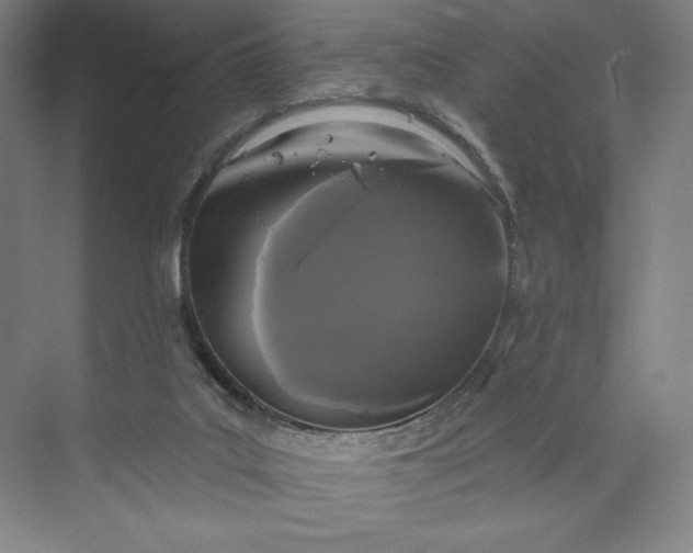 X0000074010019200609061101