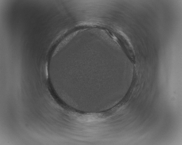 X0000074010020200609061101