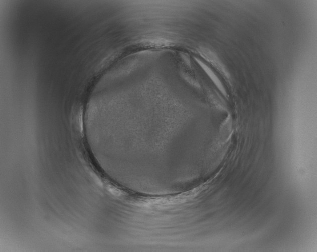 X0000074010021200609061101