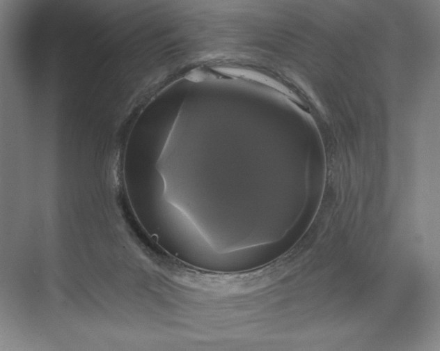 X0000074010023200609061101