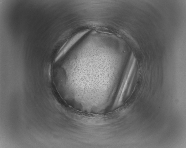 X0000074010024200609061101