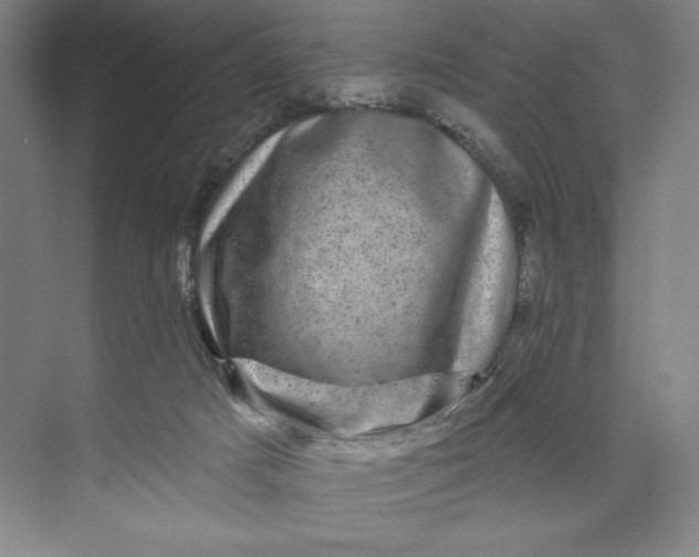 X0000074010025200609061101