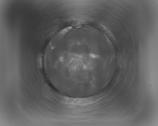 X0000074010026200609061101