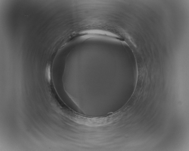 X0000074010027200609061101