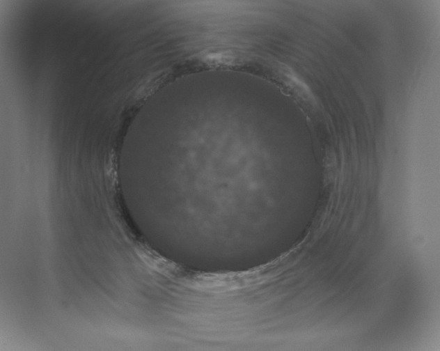 X0000074010029200609061101