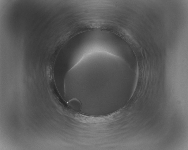 X0000074010031200609061101