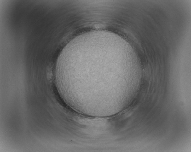 X0000074010032200609061101