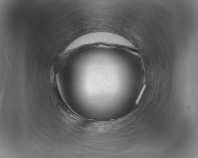 X0000074010033200609061101