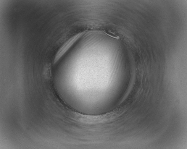 X0000074010034200609061101