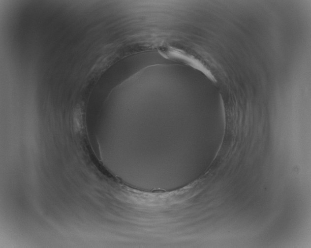 X0000074010035200609061101