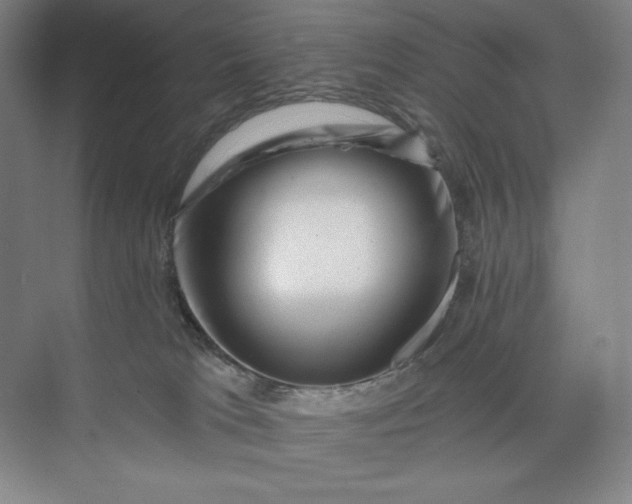 X0000074010037200609061101