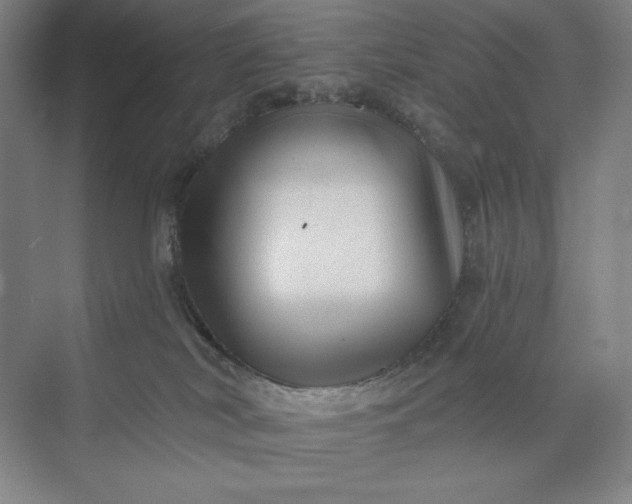 X0000074010038200609061101