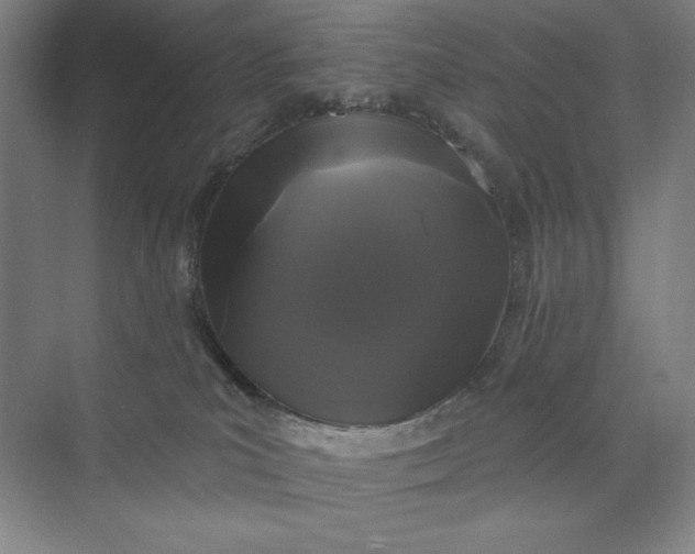 X0000074010039200609061101