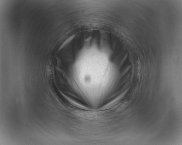 X0000074010040200609061101