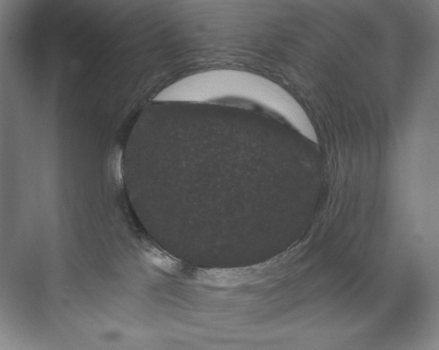 X0000074010041200609061101